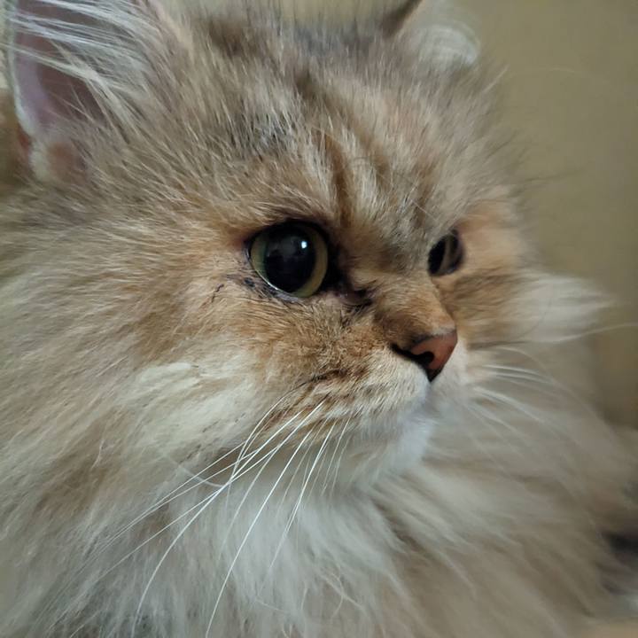 69b6ede5 2ee6 4e42 918e 3598f4958220 1699660935630