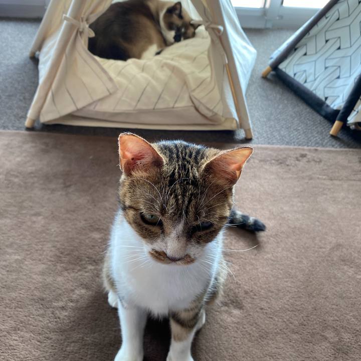 69b707d1 3509 4208 8c45 e2bb79cf7549 1597060874889