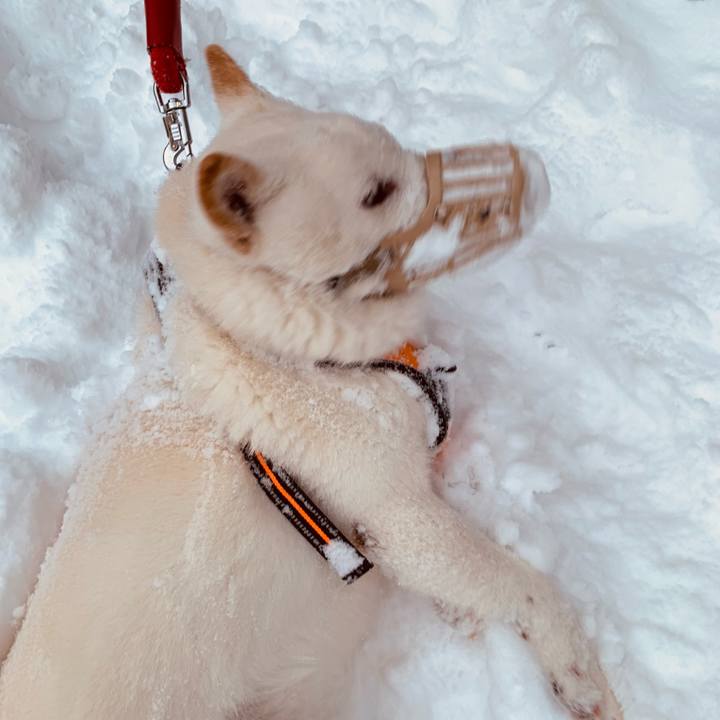 69b71841 6678 4ac3 8929 f4918c6fb79b 1671410855026