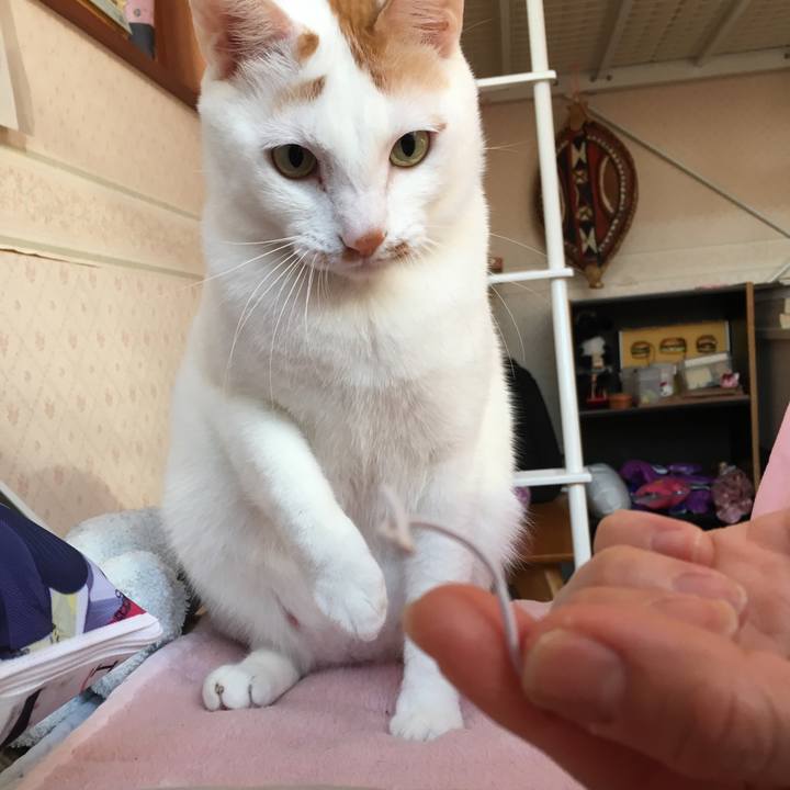 69b7287a 9fa6 4f59 a80b 83b31898db6f 1550966580058