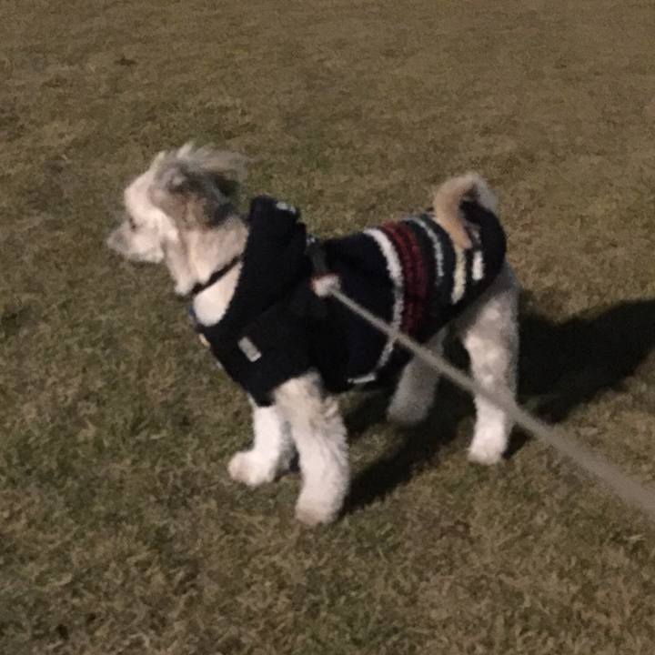 69b750ed ea51 4015 b997 87e9a2c423e5 1543839171407