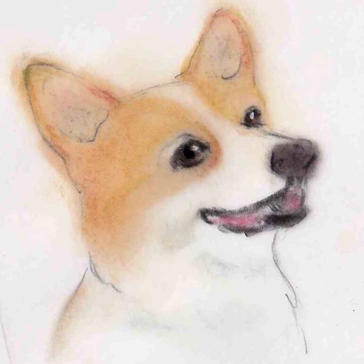 69b75312 777a 4b15 bcca ea5e585a11c5 1634563980973