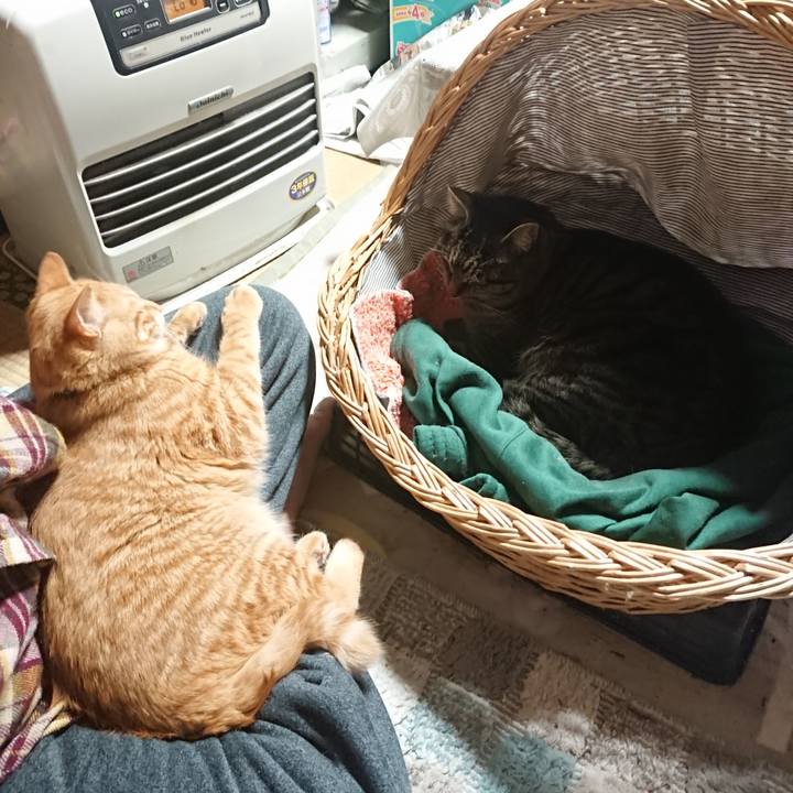 69b75d33 5bab 457b 906e 059902b0a989 1641641176653