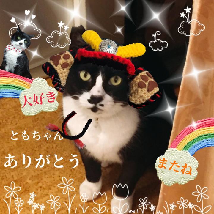 69b7bdb2 d30e 4b00 87fd d4f986a293a6 1619181327109