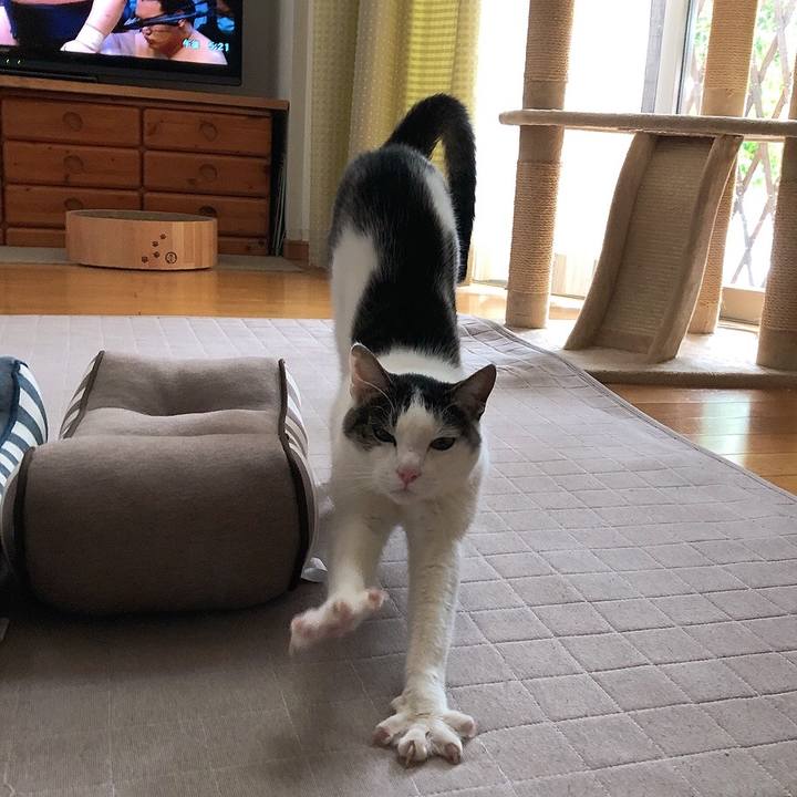 69b7e017 3cca 4902 b297 e2f15ac02581 1652085425819