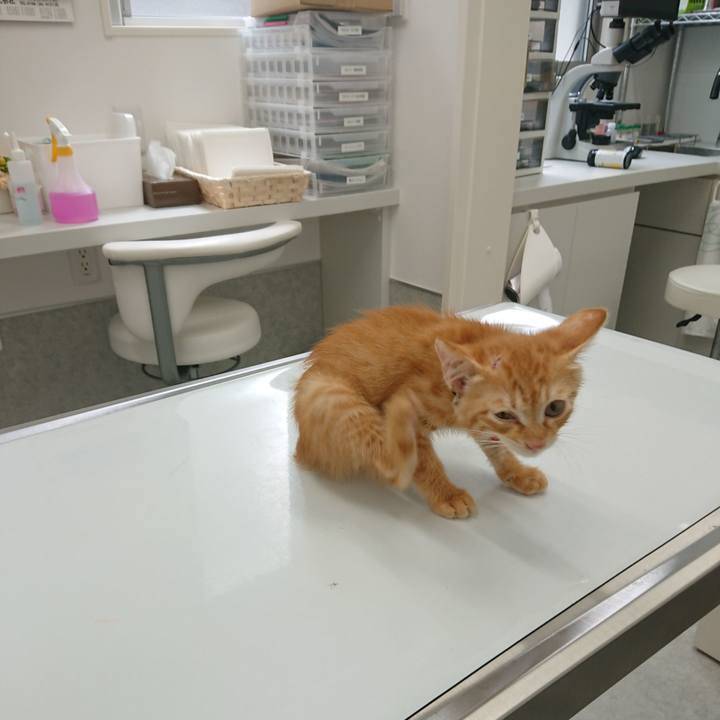 69b8500c 34ba 46ec a7d4 66c2f38205b7 1628476483991