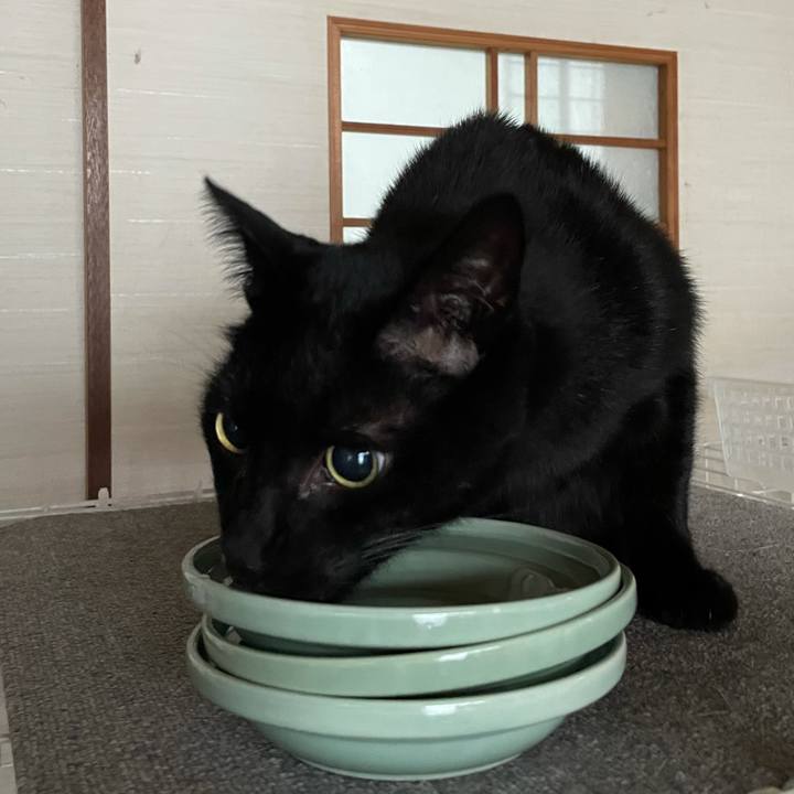 69b8aa9f 9712 43aa a62d ce7d100d958c 1605833945276