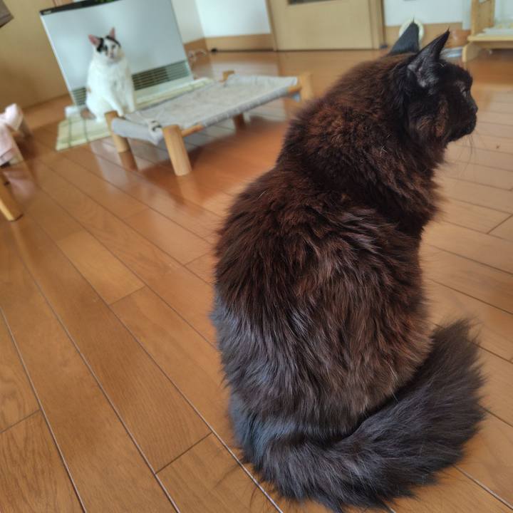 69b95477 7ca0 4750 974f 59f51d486d29 1742515454743