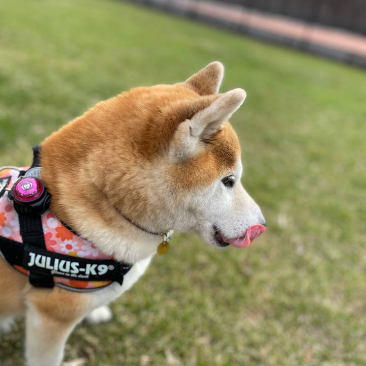 69b96676 738d 4ea7 9fc3 c6af0ae503ac 1618447672408