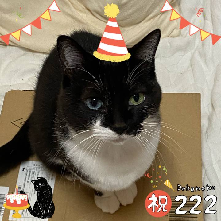 69b99a2f 9336 4570 8aa9 e45452785a24 1645520831409