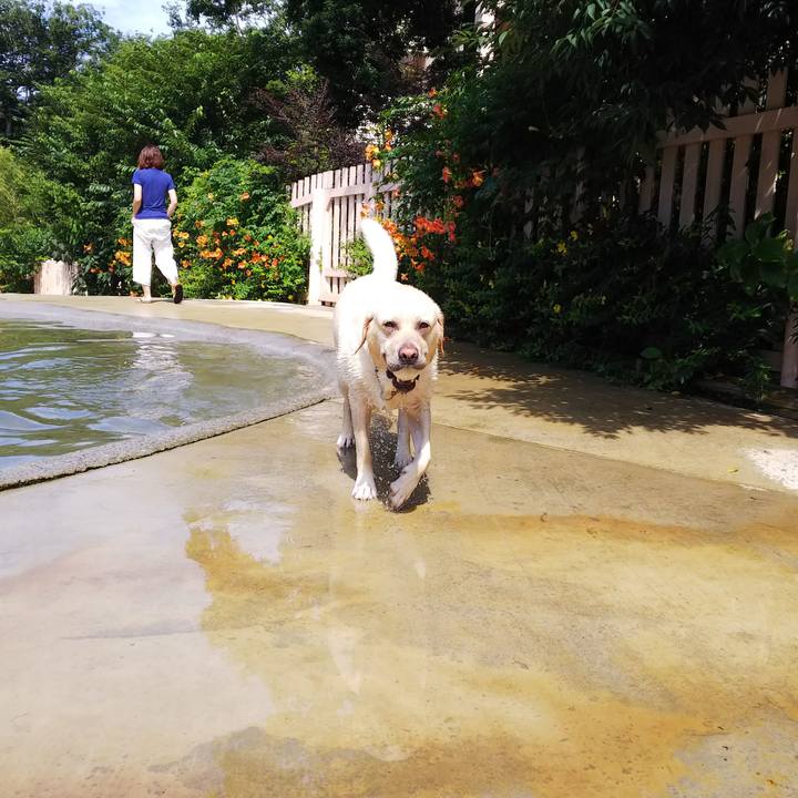 69b9b216 1bc3 43c0 99d6 77460a9e49df 1564298891956