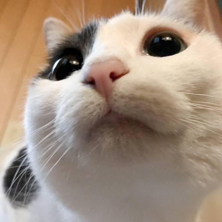 69b9be51 07f0 45e6 99bd 8d570652629f 1523714739746