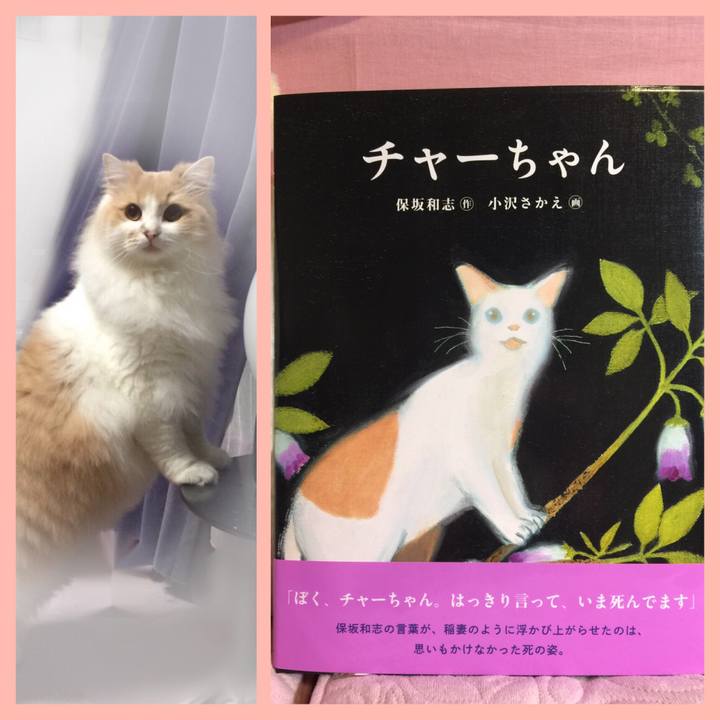 69b9beae d644 4616 b4a6 1925edb5fd39 1585602101999