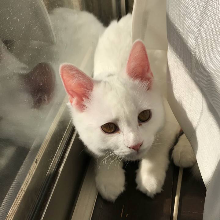 69b9fa18 fd71 4c75 aff1 6df26ec33113 1510742538987