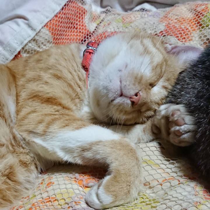 69b9fbe8 c3e7 4043 8d2a 615ebf9606fc 1570623515216