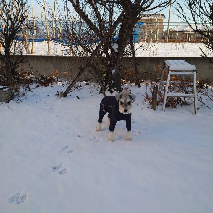 69ba4112 b196 4d53 ae98 224cf70106bf 1768172632618