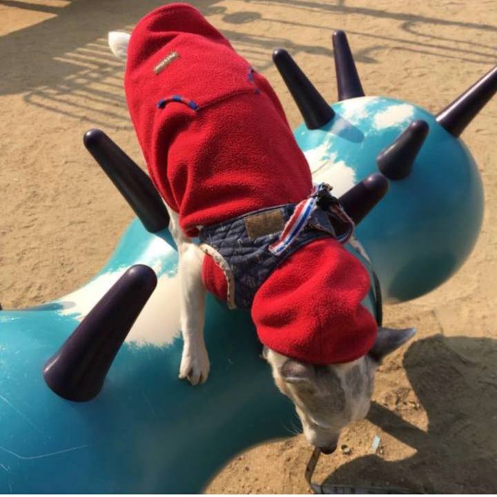 69ba60c4 32ae 4898 81f9 182b8de69609 1774739030694