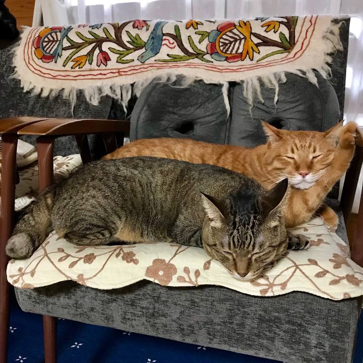 69ba706b 45b2 48cc b6d1 73f699ad56cc 1537431408438