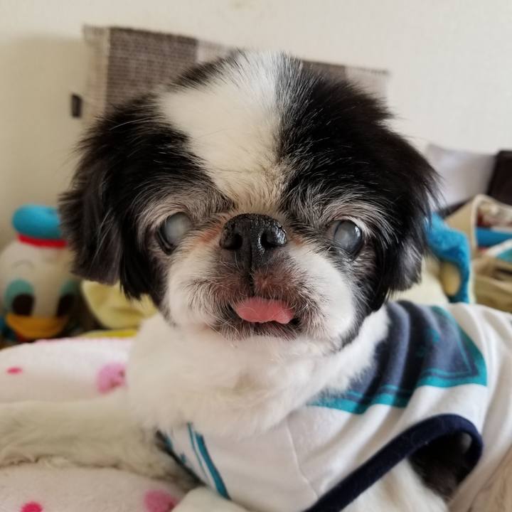 69baad95 9a8d 4662 8516 3d5d940aa47c 1619948299310