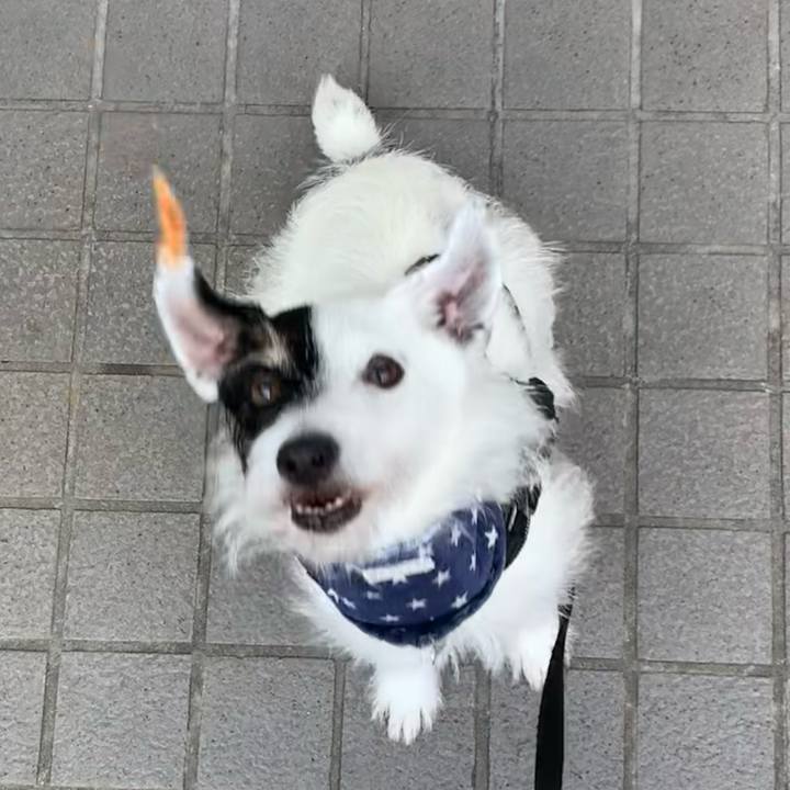 69bacfda ae8d 46cf a198 affe1e8f2cae 1721728426447