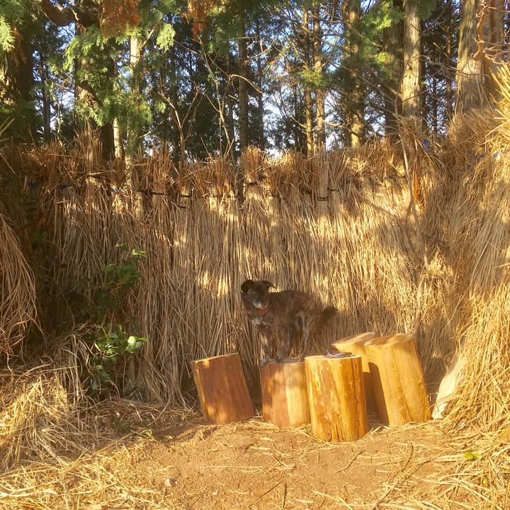 69bb3104 046d 4d21 94ba 30ccd74c19c7 1547466522156