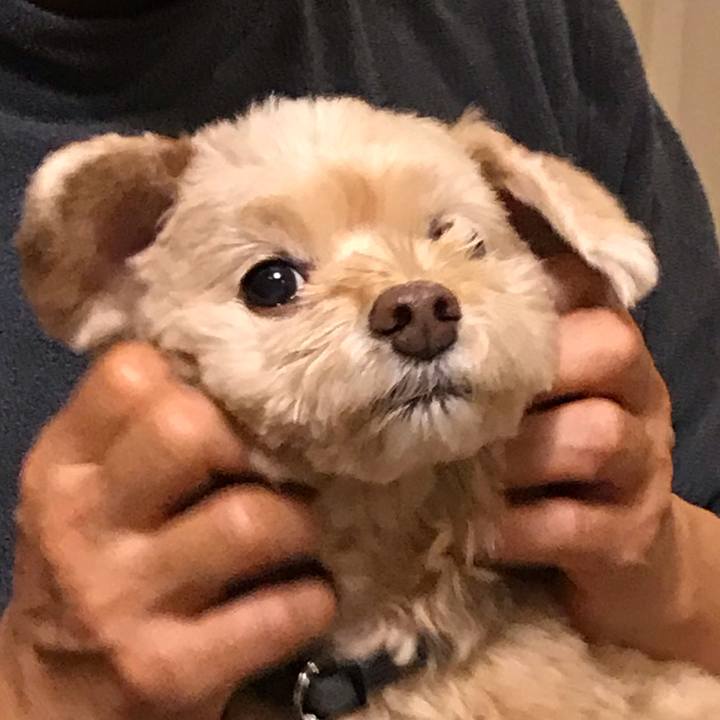 69bb6954 7942 4e36 8024 f4e17b66c751 1544759892949