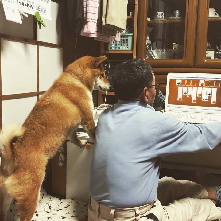 69bb74d7 db90 4564 b289 04a9dc090030 1526479266728