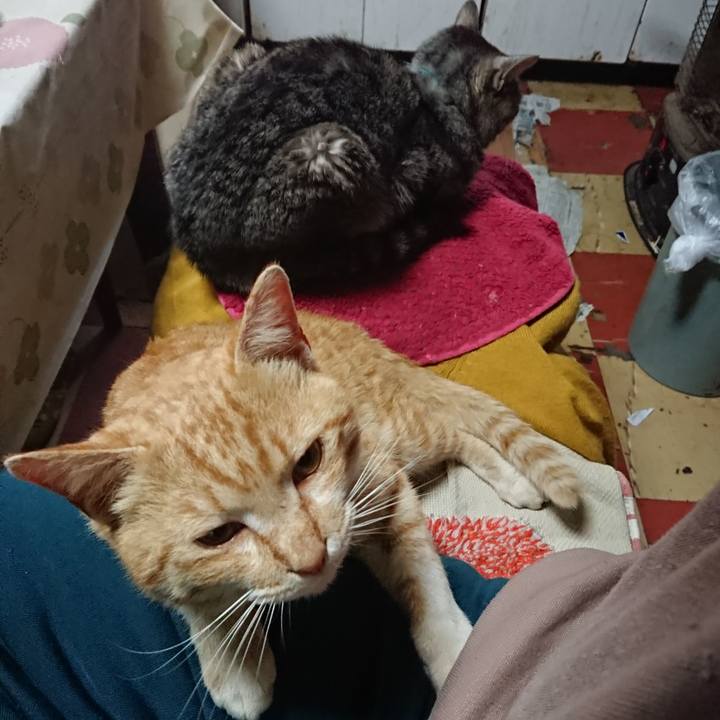 69bb78ee 4ff8 47b6 919b eae423d76974 1556315482571