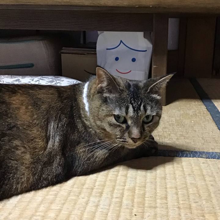 69bb8a77 2ac3 416d a039 4f43ce669948 1756026014796