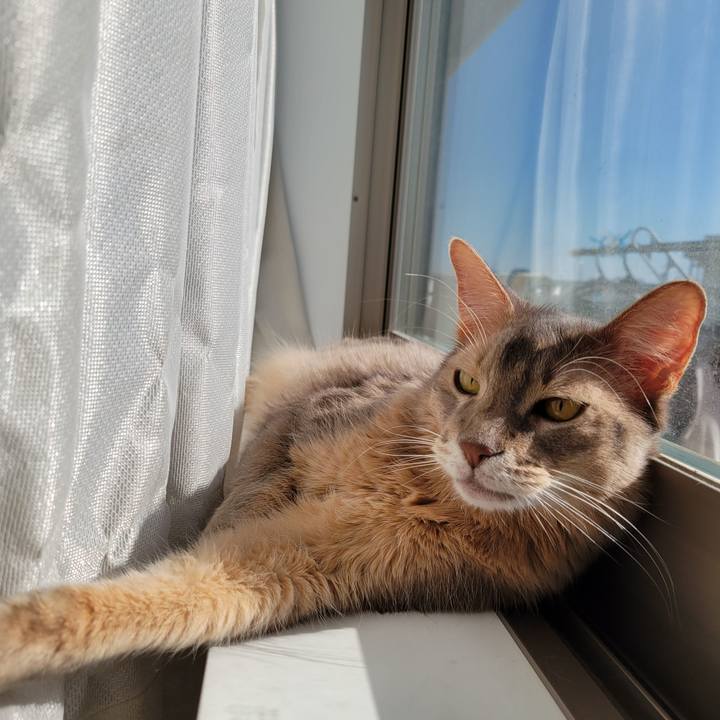 69bb91d8 cfe0 4dcb ab43 e845df48f407 1642335519017