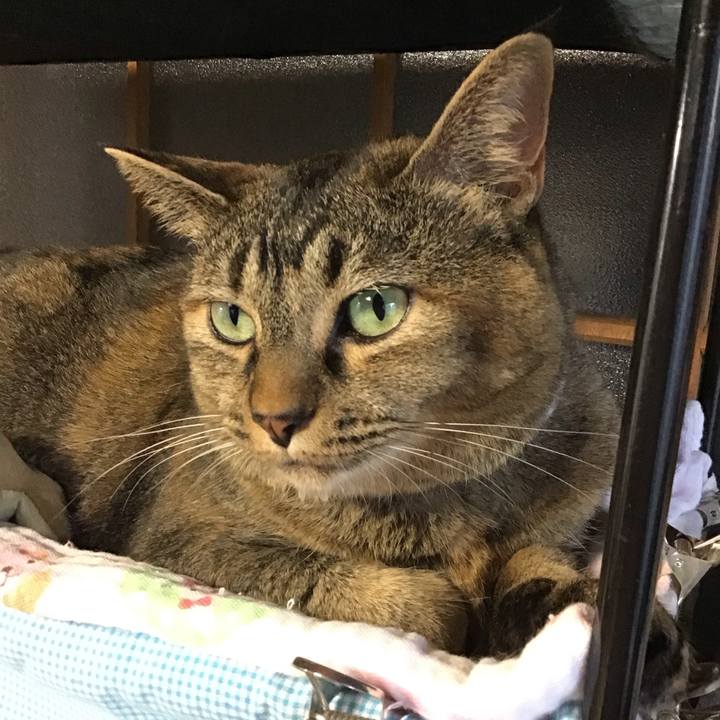 69bba761 73f3 49a0 9fc1 09410e4f040f 1725865439934