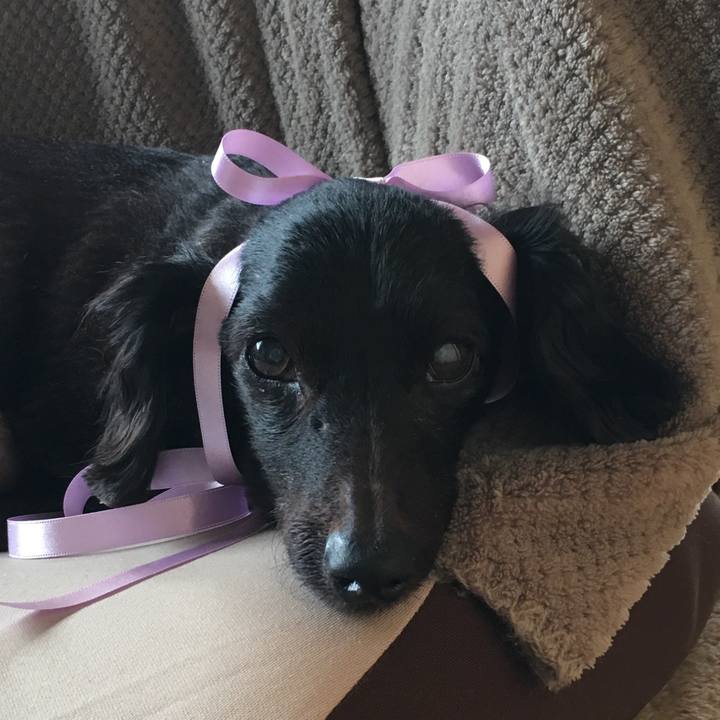 69bbdd97 47b2 4668 8a23 fe656ede2146 1691843091582