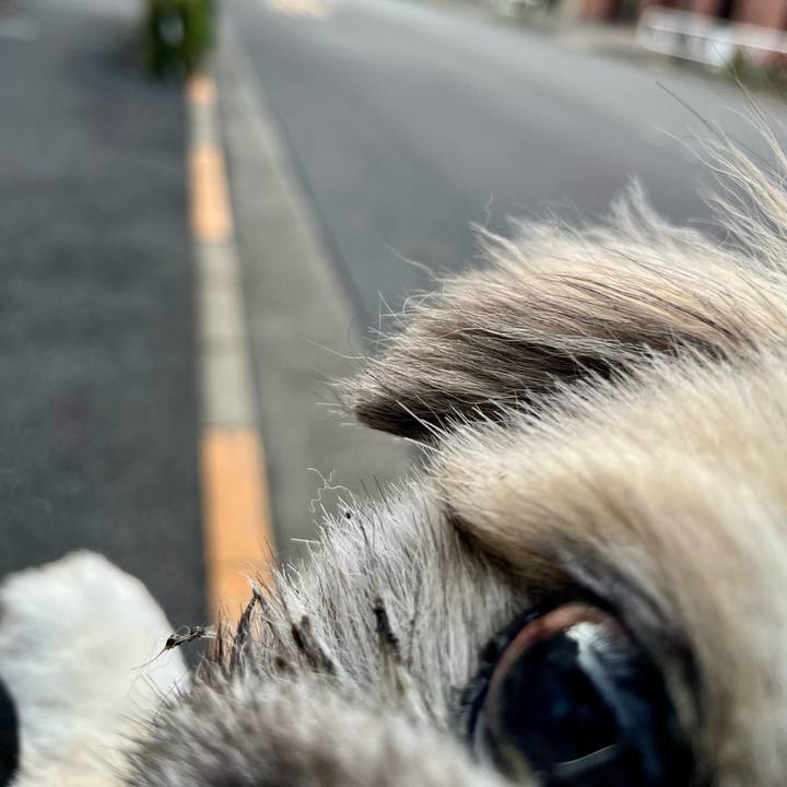 69bc0562 baea 4852 af26 8fd0500f6092 1746929609303