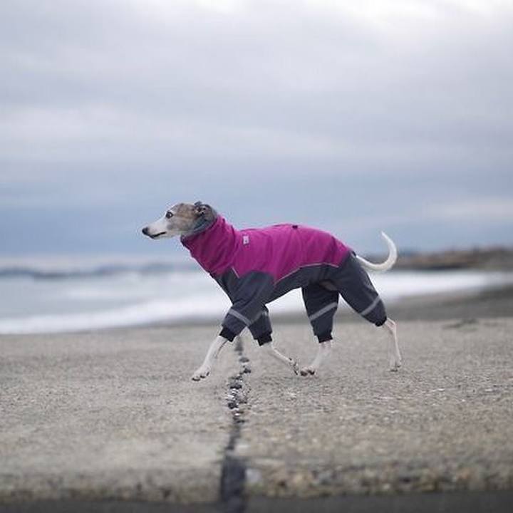 69bc0e2a 08b4 40d7 b3f8 5dee368e732f 1518868867705