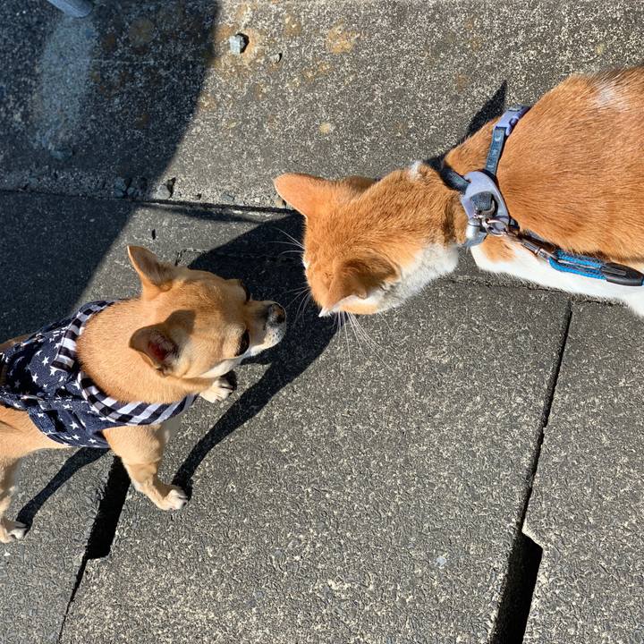 69bc8355 77dd 4953 ac2d d087300befca 1586653669997