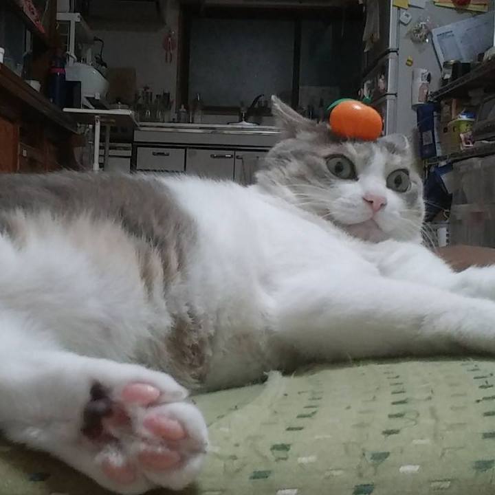 69bcae86 4b78 49ab ab64 781f59817620 1610801050932