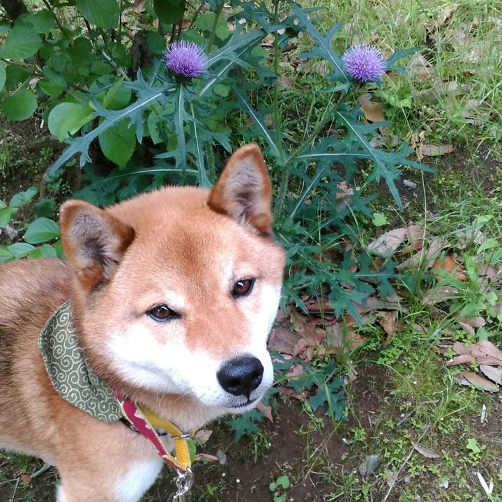 69bcc17f 49c8 4d31 a048 8dc6b6047b80 1526519789398