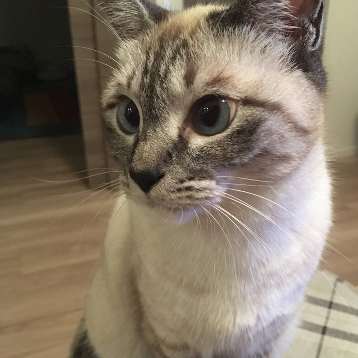 69bccaf3 37e7 465d 98a3 93ce1681c0b7 1563014723707