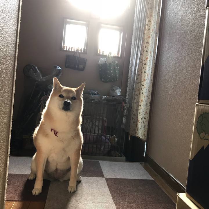 69bd00b9 9848 4e2a 988d 59dc603372aa 1520930395117