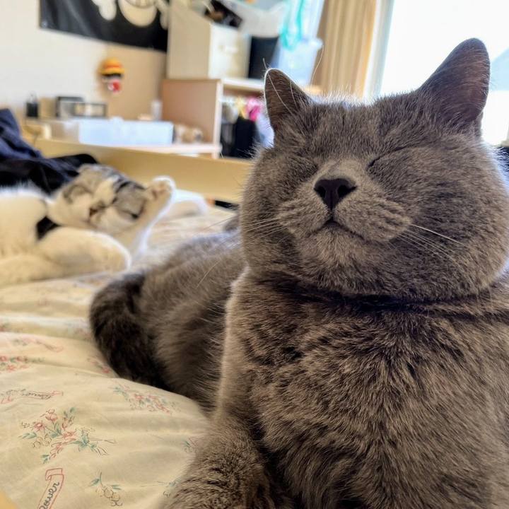 69bd1b7d 6b2a 4f69 a099 75e9b4eeb066 1739421463926