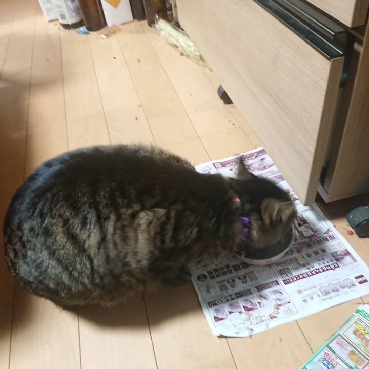 69bd3a99 5e76 4832 a10d c1144e9cfa97 1648894424052