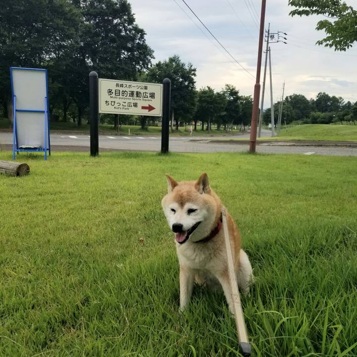 69bd410c bab0 49a5 98e2 489e19233699 1720423104655