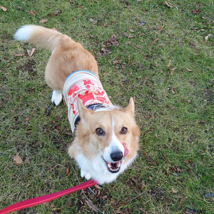 69bd58a2 88be 44ba 872f cd9ebf440d42 1764545275878