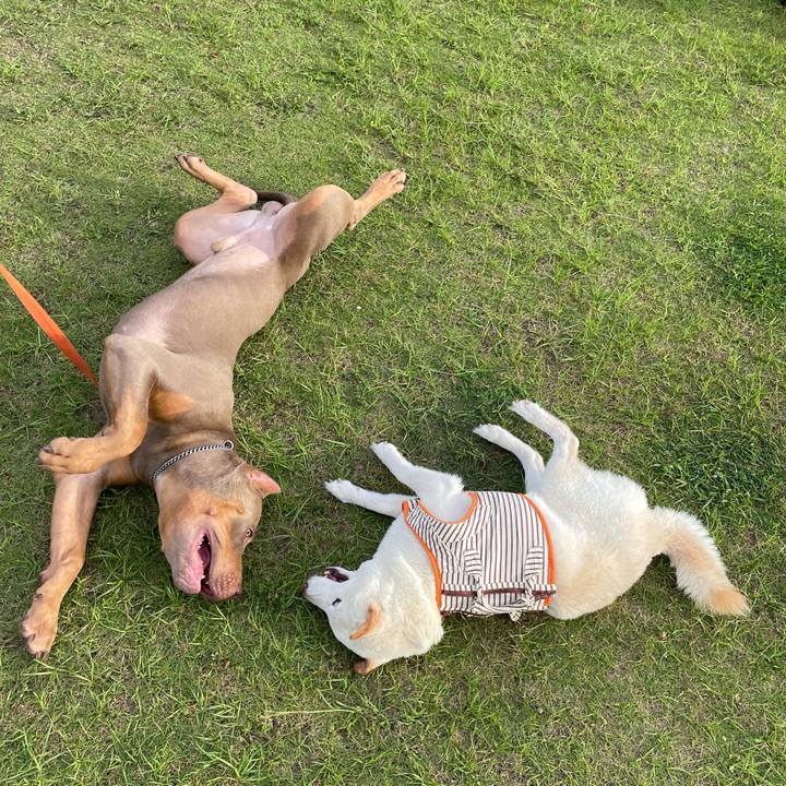 69bd5d9a ebda 413e b9d2 f95361a0b802 1656506199530