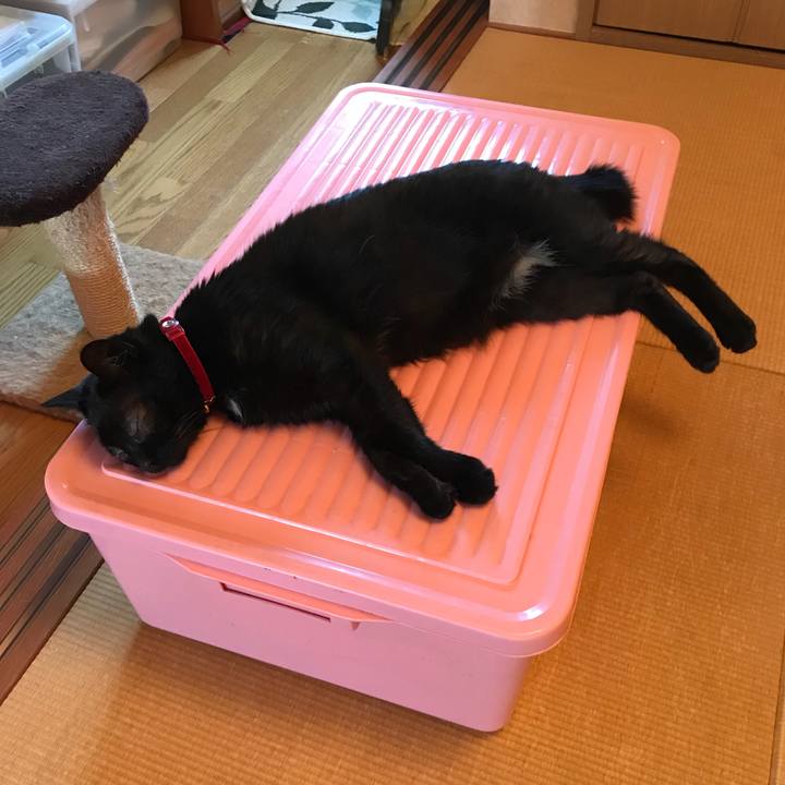 69bd79e9 d78d 49f0 b919 b8f4a1921856 1532425867437