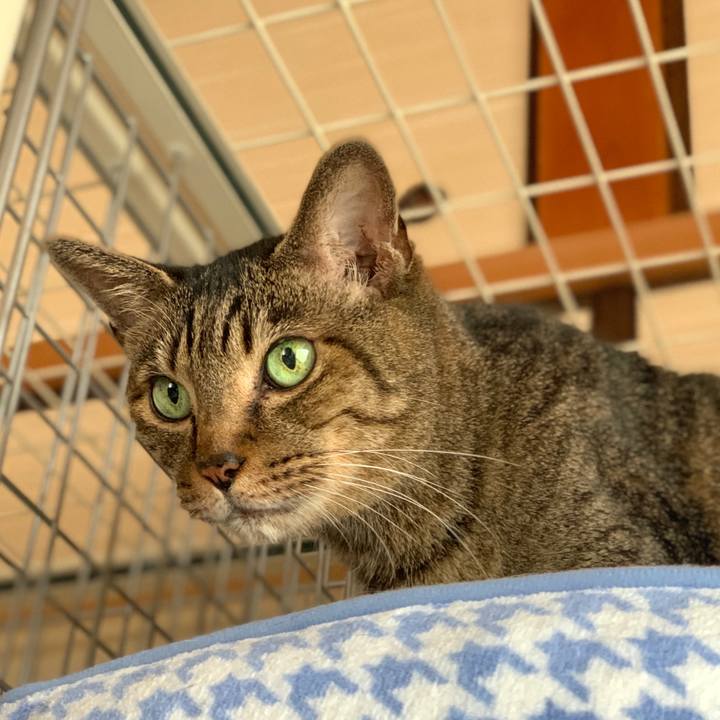 69bd836a 8031 48ef 863c d9005f28b599 1601687835943