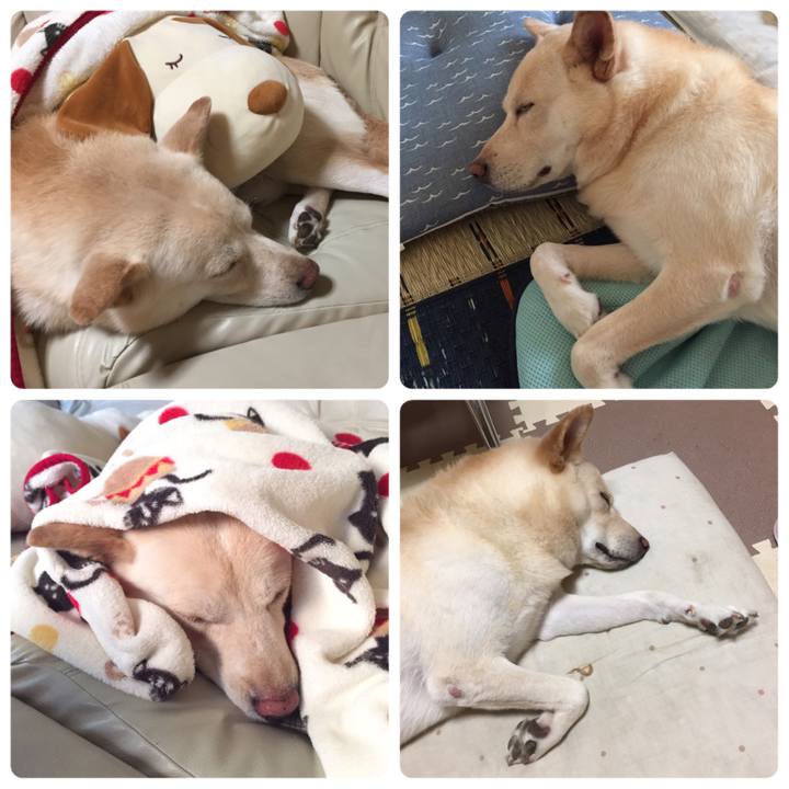 69bd8d31 3af9 4884 b6dd f94942f4f0f8 1508747902423