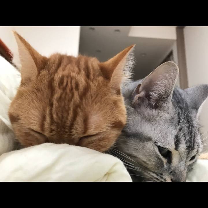 69bd8e0e 22bf 4008 a4bc 936dd4e8ec50 1509055029188