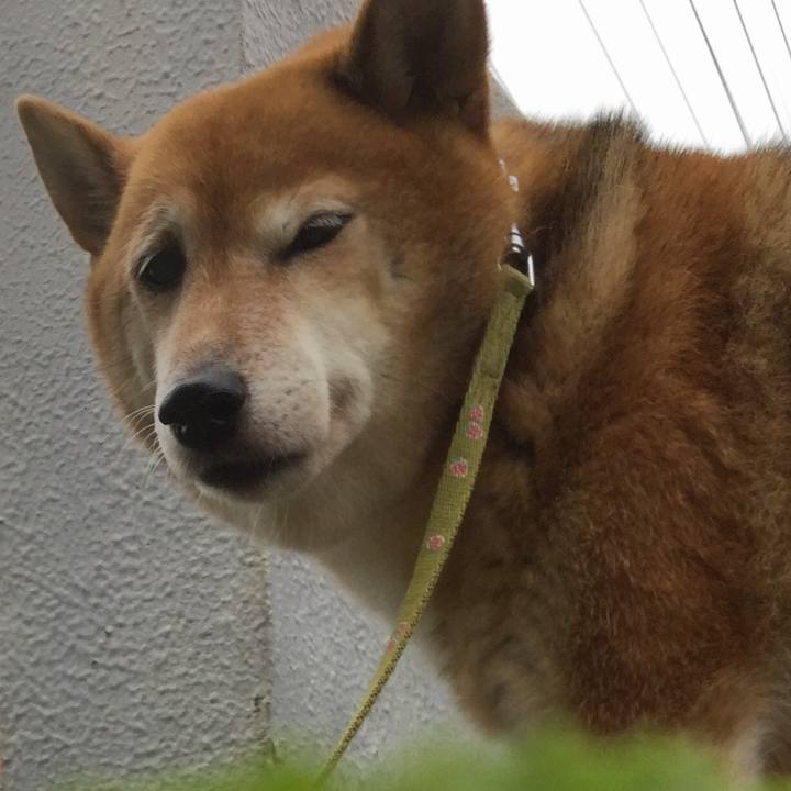 69bd977c 034c 4d09 b8b6 b75d6ecb71e5 1595296213027