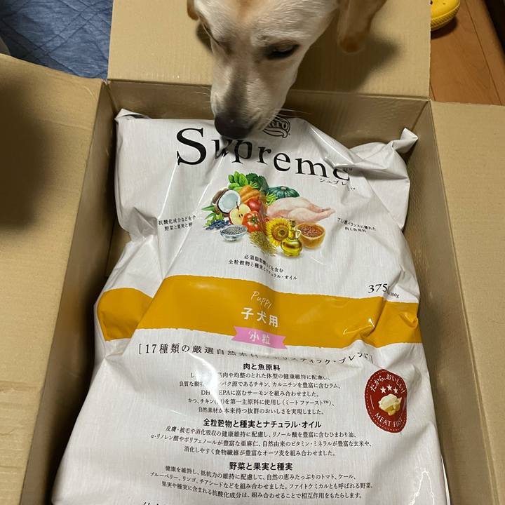 69bdabcc 5a04 463a a277 c022349e878c 1628252348233